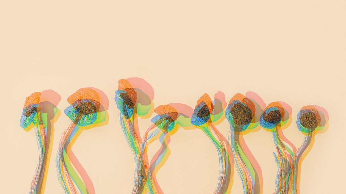 Psilocybin research