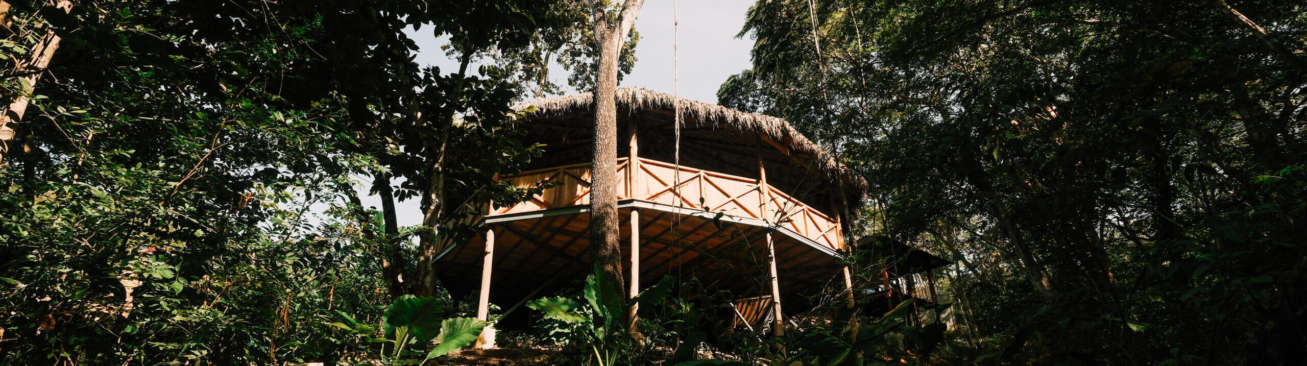 Ananda Lodge grounds