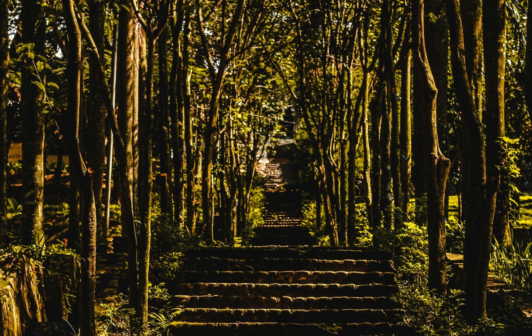 Post — Ananda Lodge