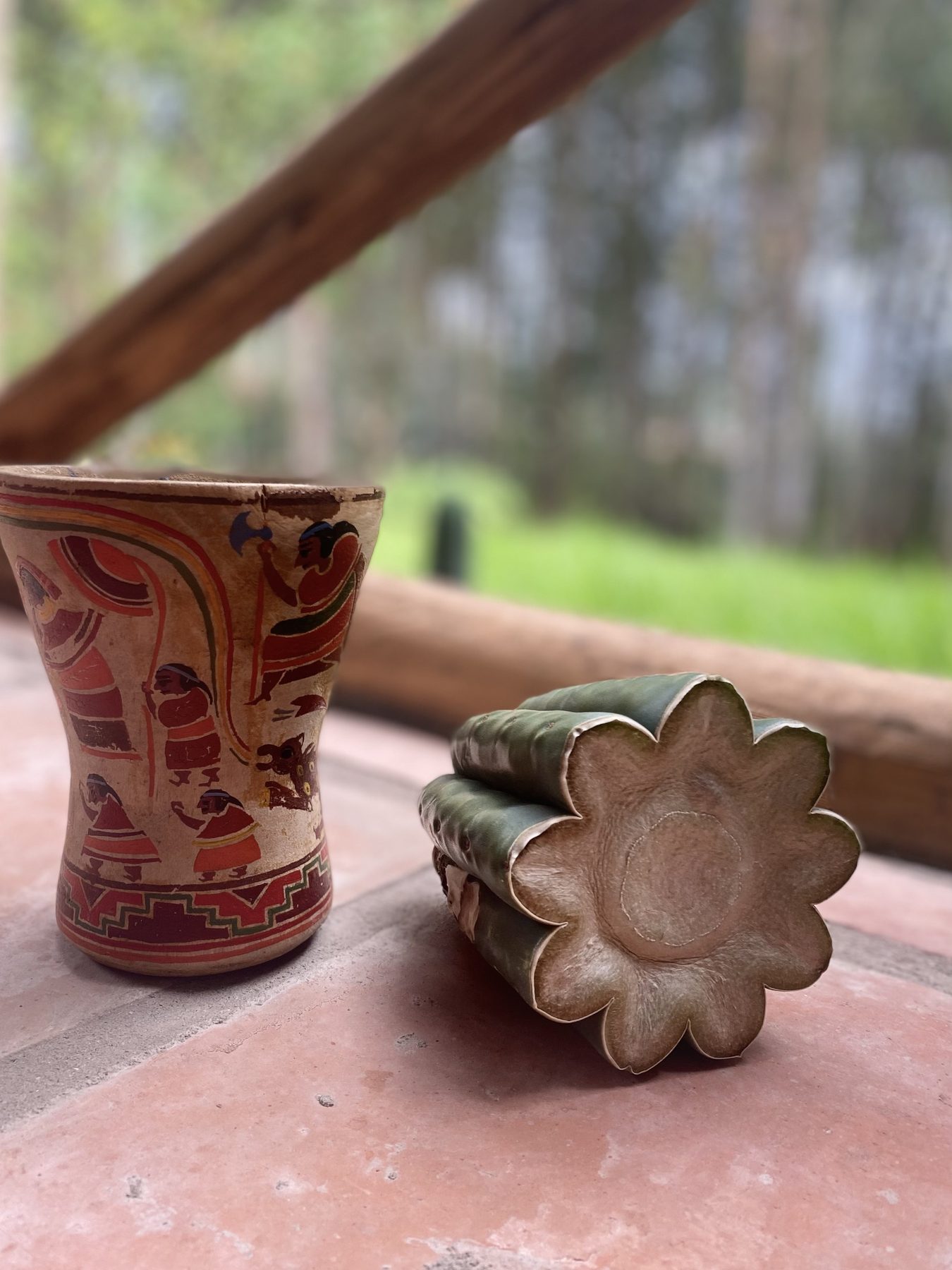 San Pedro cactus — Ananda Lodge