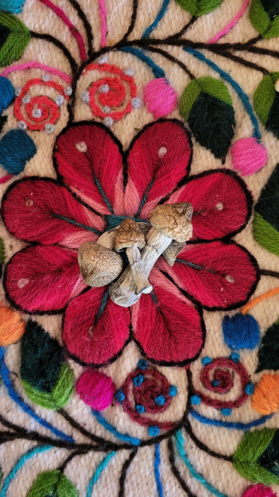 psilocybin / altar — Ananda Lodge