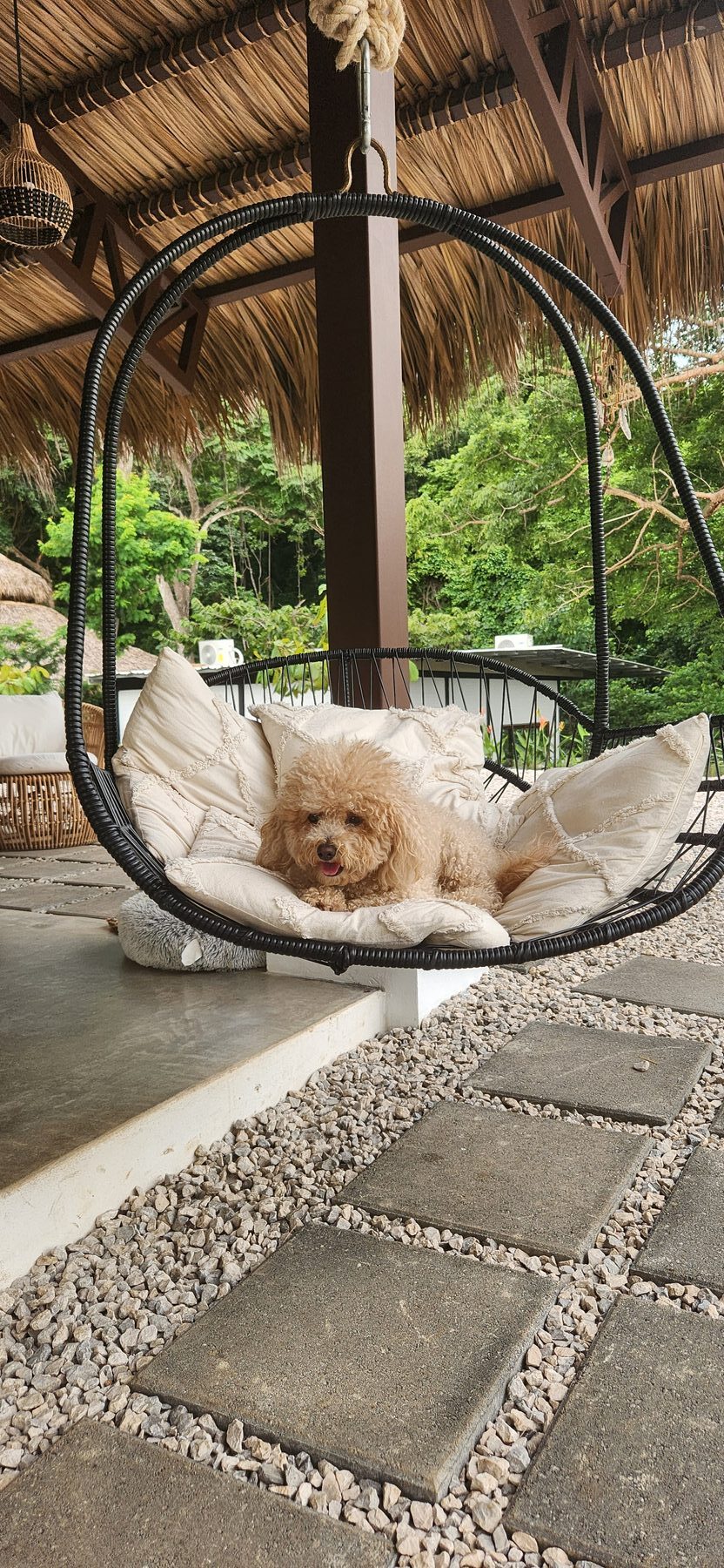 photo of Irie — Ananda Lodge