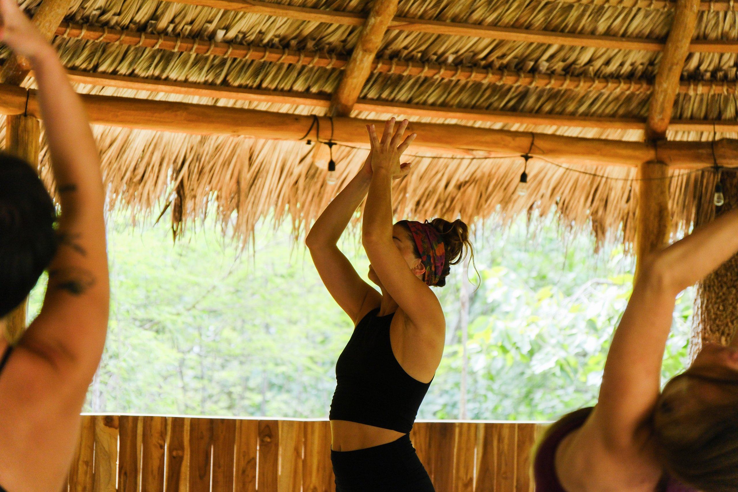 calm background — Ananda Lodge