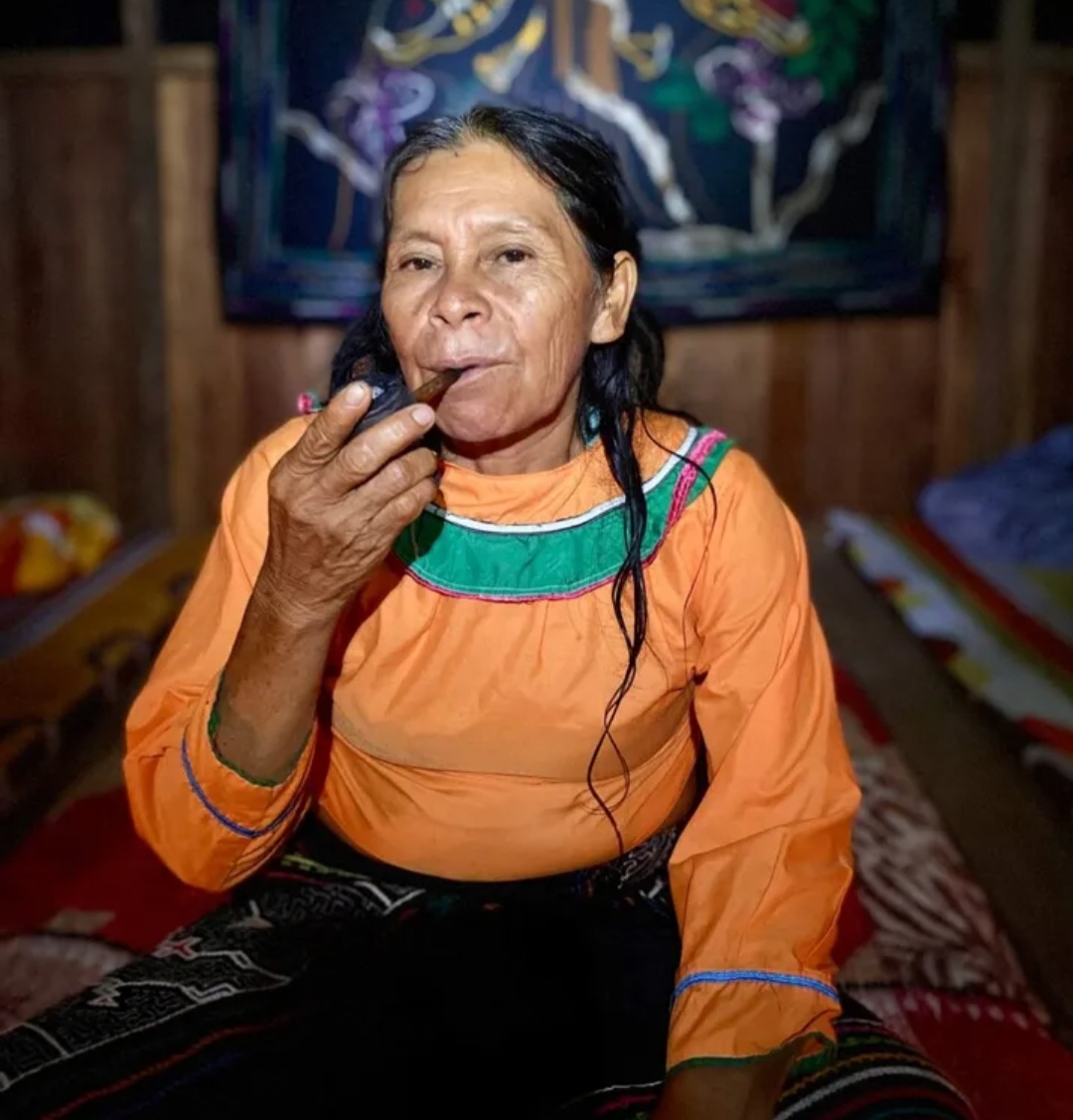 Drop the Shipibo healer portrait — Ananda Lodge